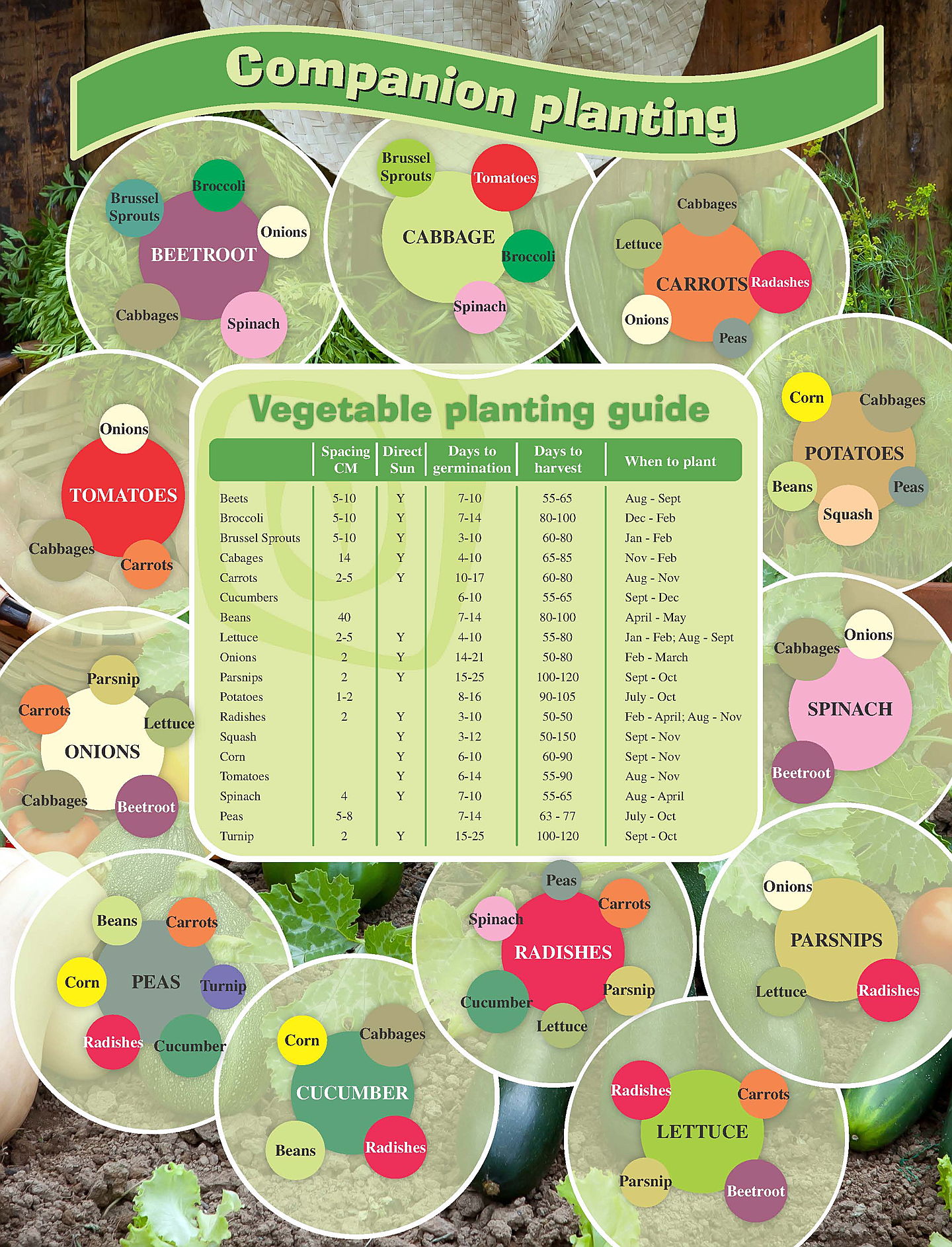  Hoedspruit
- Planting Guide.jpg