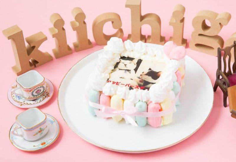 フォト ケーキとは