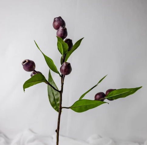 Screenshot 2024-12-09 071429