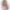 My Profile Picture
