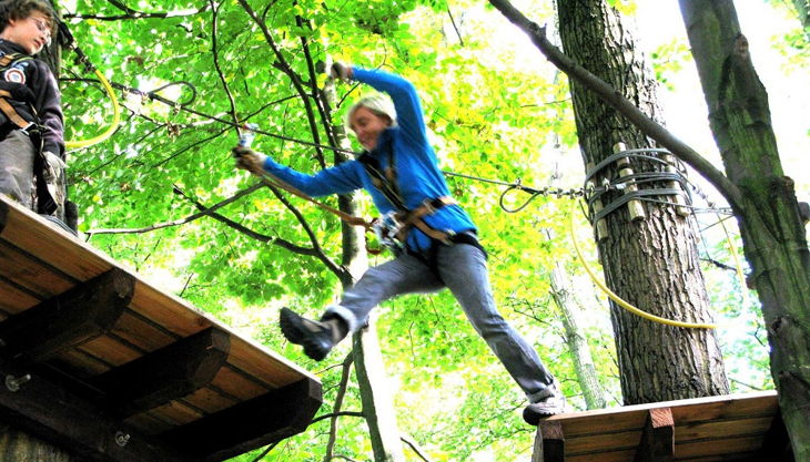 treetree der risiko sprung