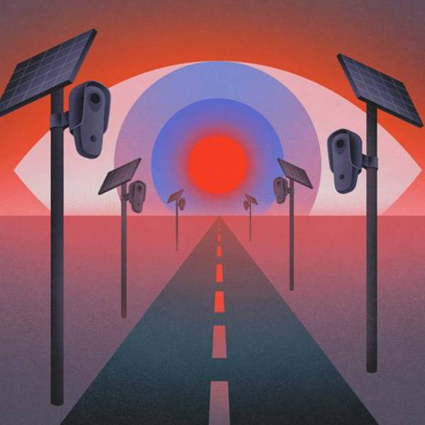 Illustration of flock cameras and a surveillant eye