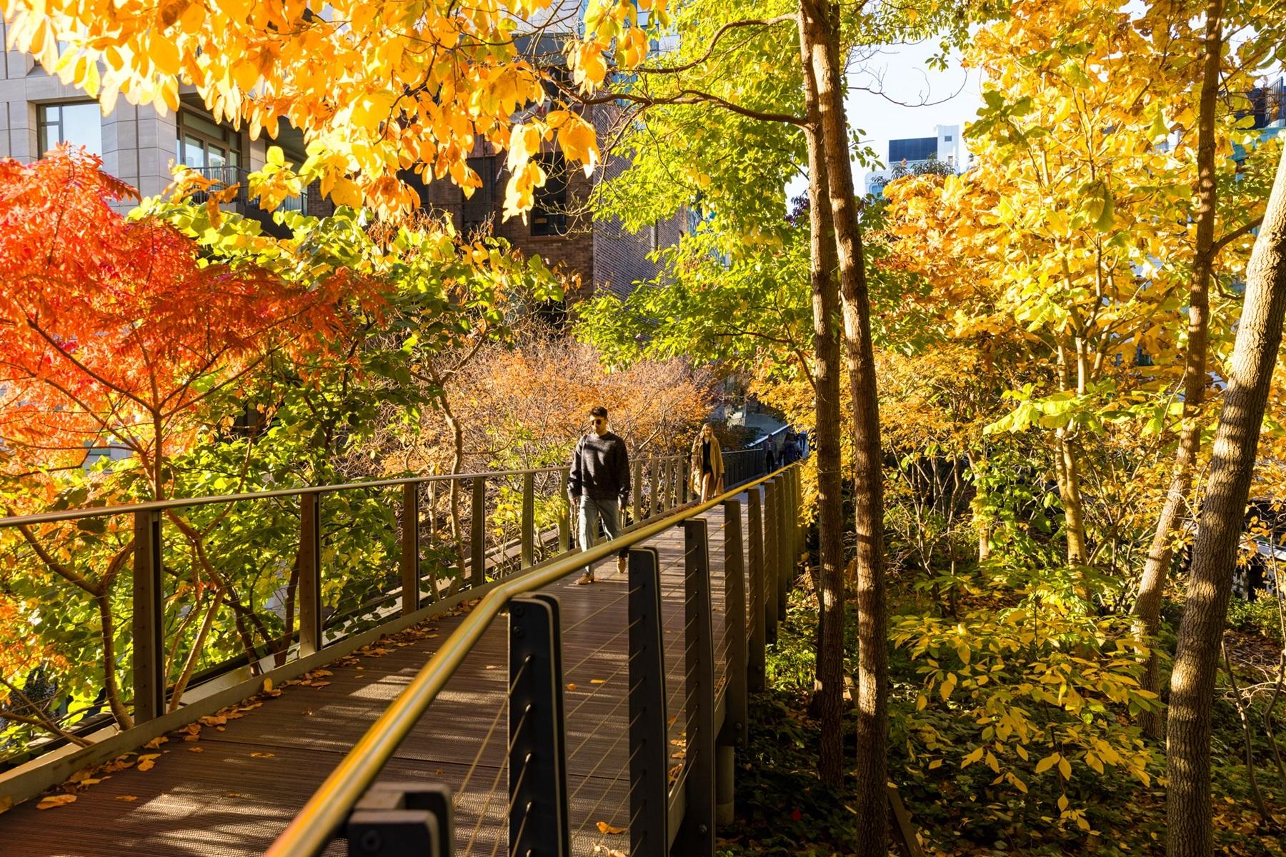 The High Line
