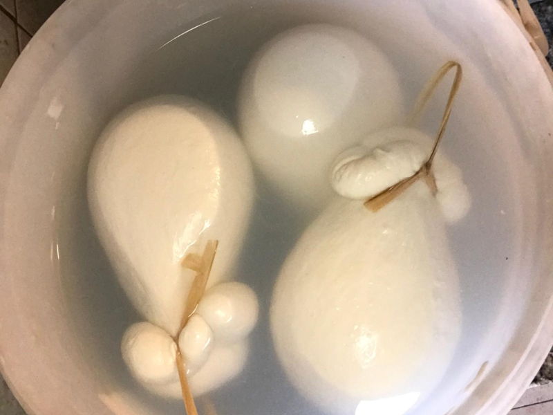 Cooking classes Sorrento: The Grandparents' secret: a mozzarella-making experience