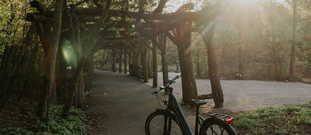 a trek electric bike on a bike path covered with a log structure