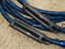 AudioQuest Mont Blanc  speaker cables. 10ft pair. $2,10... 2