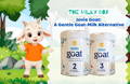 Jovie Goat: A Gentle Goat-Milk Alternative | The Milky Box