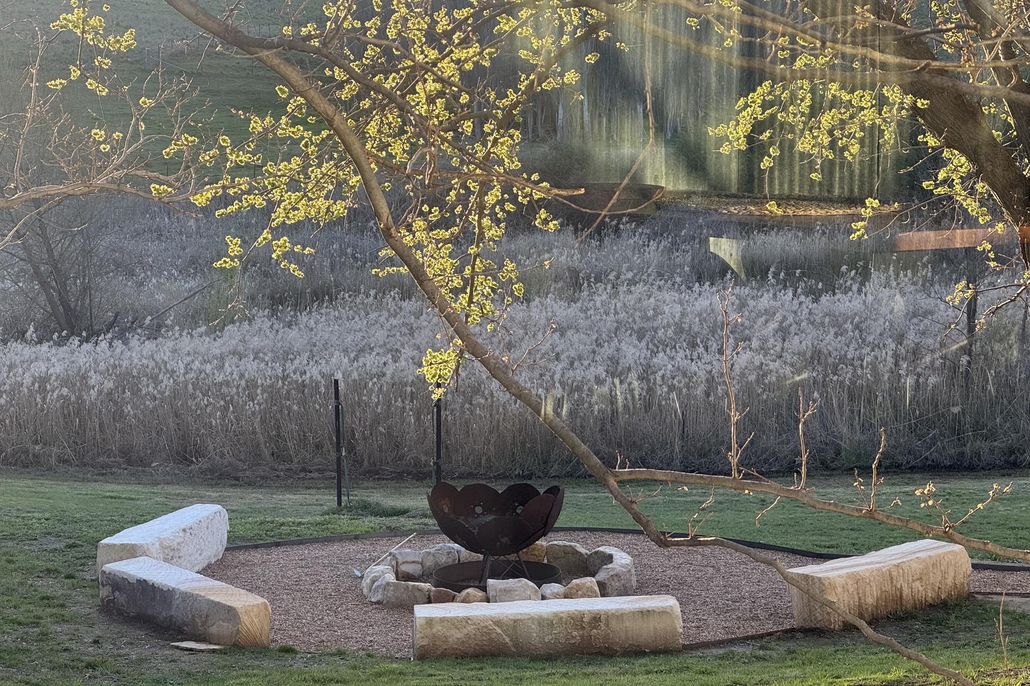 Clifton Woolshed Voucher - Image 6