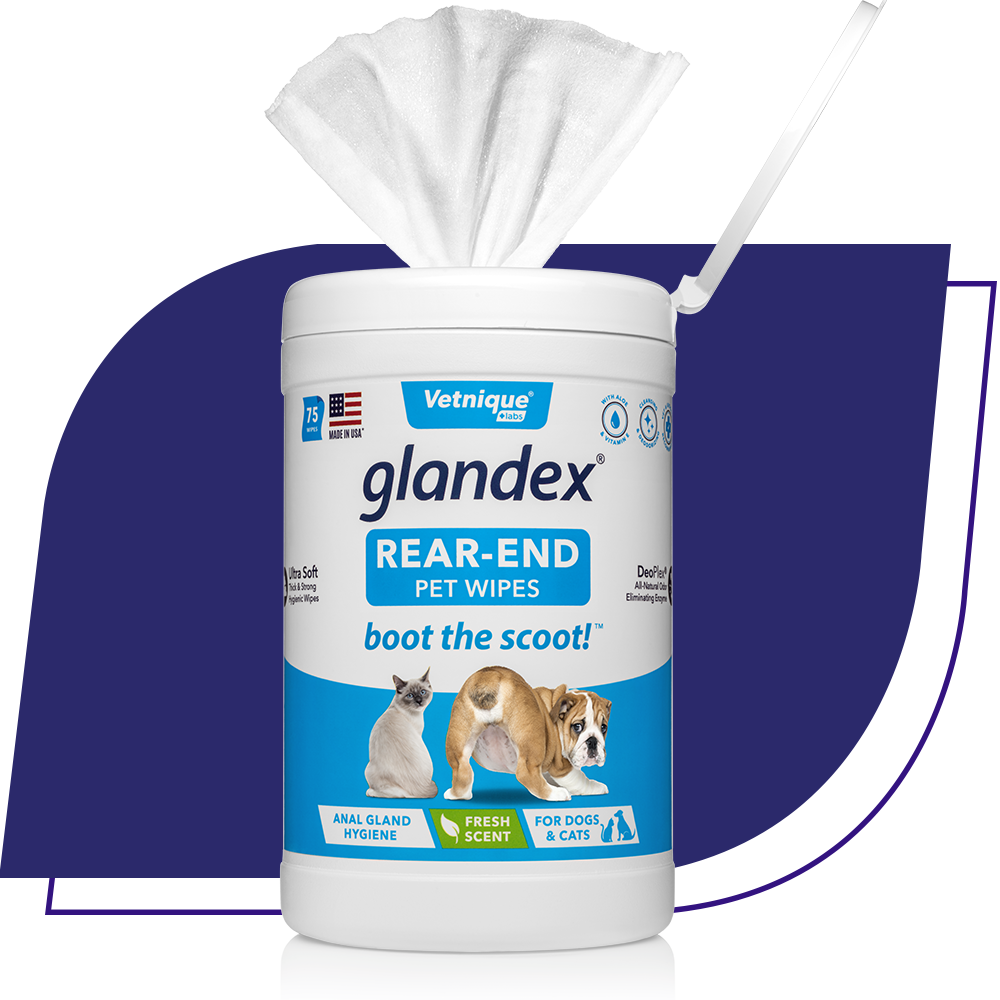 Glandex Natural Anal Gland Pet Supplements for Dogs and Cats