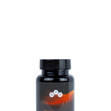 Sport'Chondro Protect - Complexe Articulation
