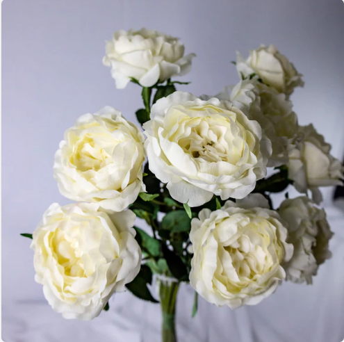 Bridal White David Austin Real Touch Half Bloom Rose - Realistic Artificial Flowers