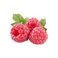 Resveratrol Supplement made from raspberries