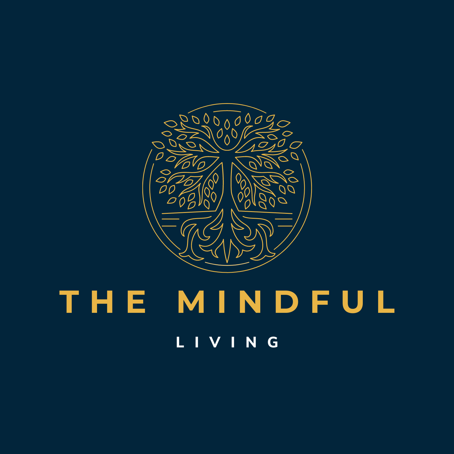 Mindful Awareness in Life's Disruptions: Redefining Identity