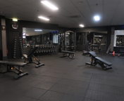 Zumba | Dans & Fitness