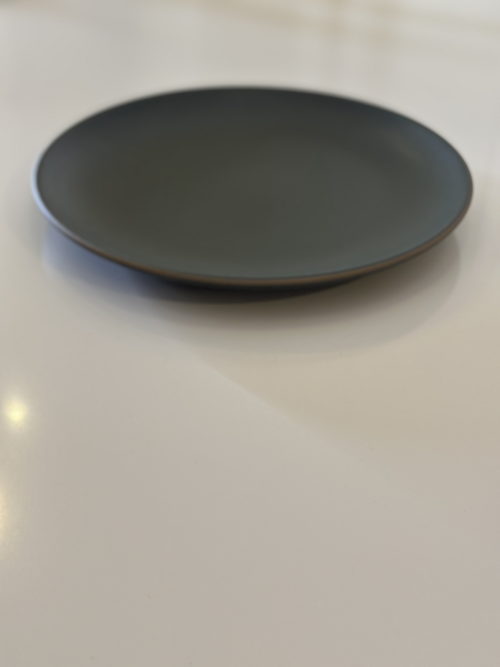 Seasonal Teal Green Coupe Line Dinner Plate