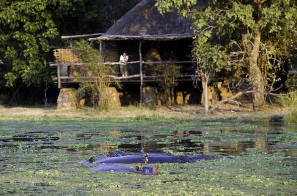 7 Days Zambia’s Premier Wildlife Safari, South Luangwa National Park