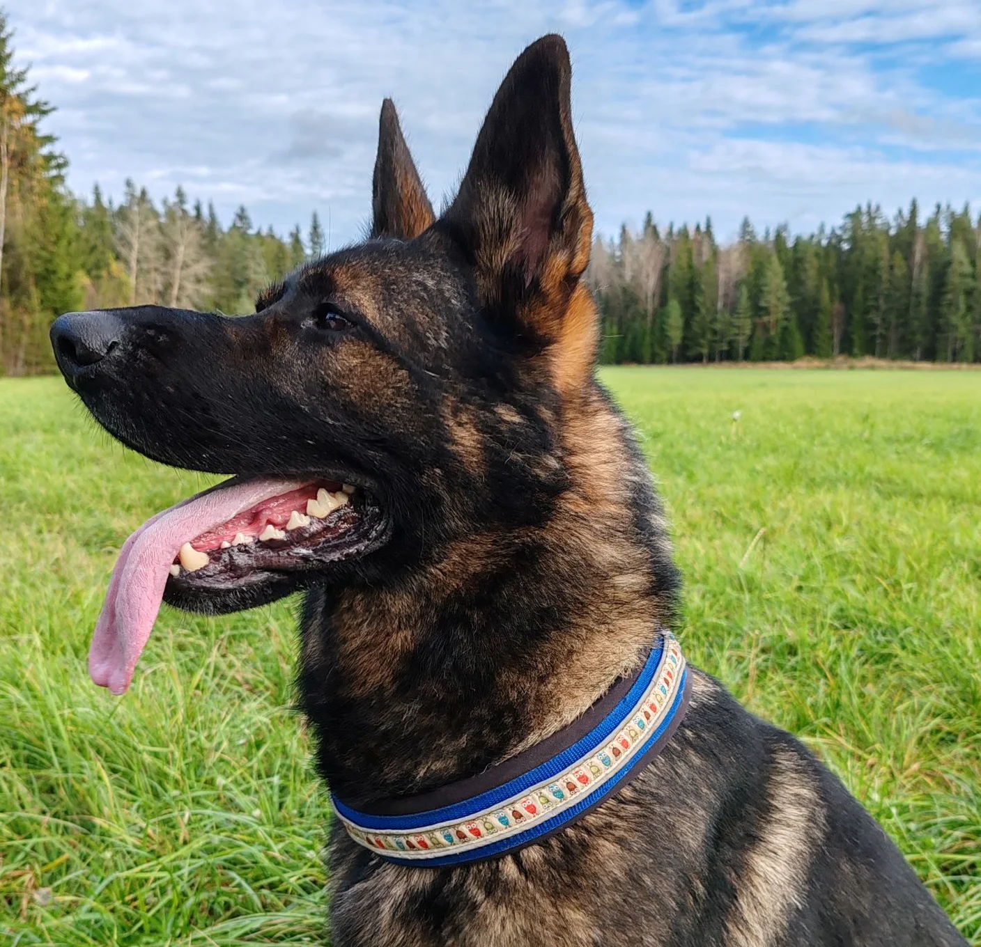 profile-1