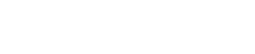 Salinas Group Logo
