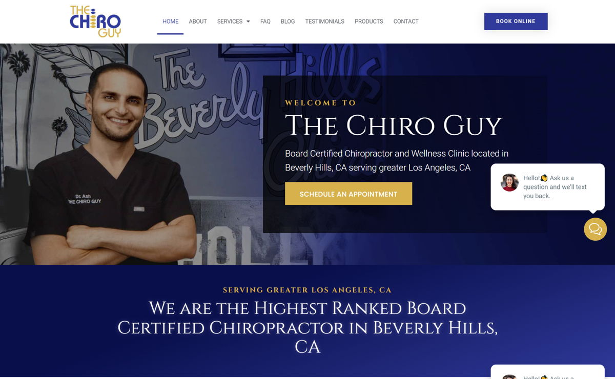 Screenshot of The Chiro Guy, from the chiropractor websites collection.