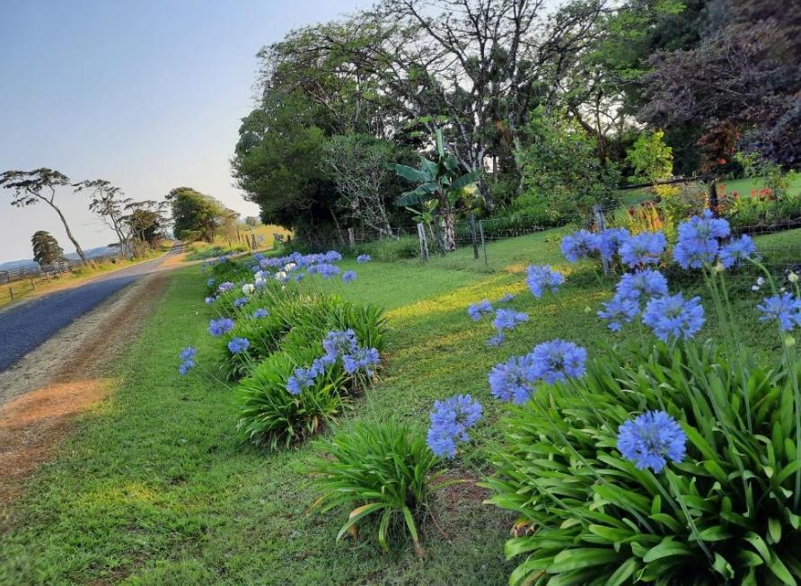 Three Falls Holiday Millaa Millaa