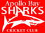 Apollo Bay Cricket Club logo
