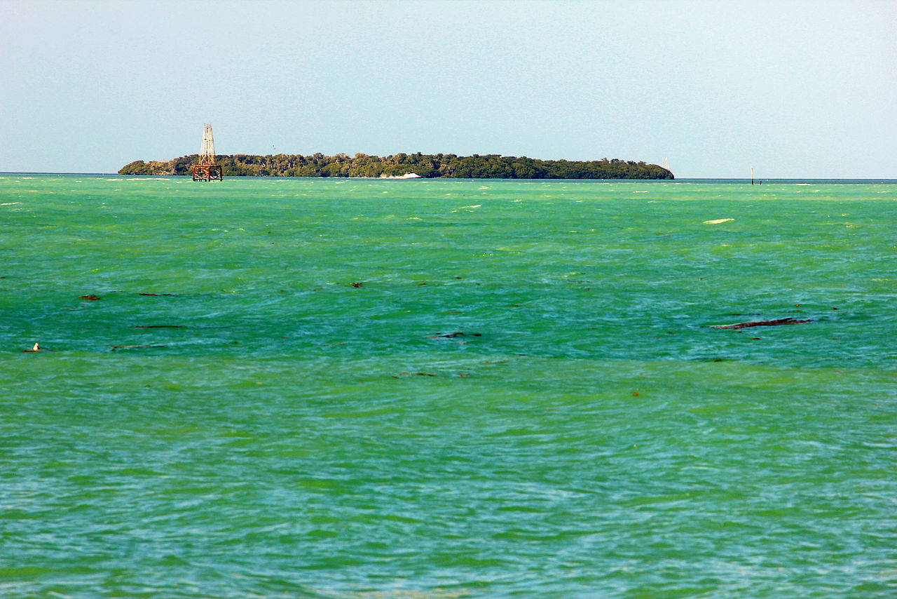 Florida Keys Spearfishing