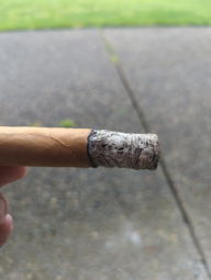 Cigar Session Photo
