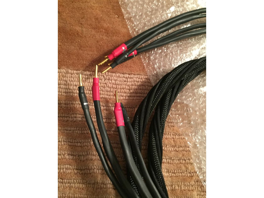 Synergistic Research Elements CTS Six Foot Speaker Cable/Reduced 11/20