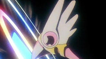 Main Content Image