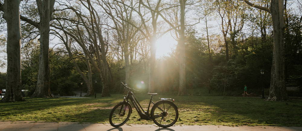 a trek electric city bike in a park at sunset