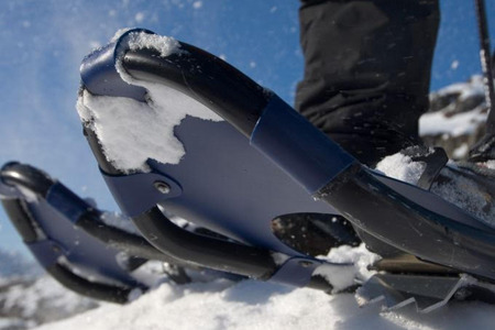 snow shoes.jpg