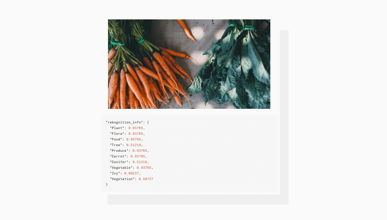 For example a carrot is easily identified as a plant with Uploadcare Object Recognition tool.