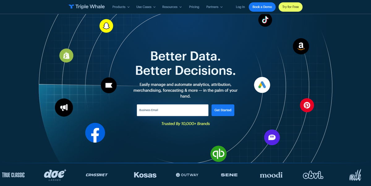 Screenshot of Triple Whale, from the saas websites collection.