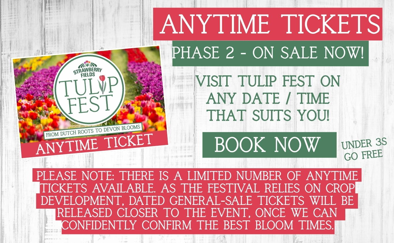 Experience Tulip Fest 2026 - the South West’s original and largest tulip festival. Explore over 500,000 blooms, 60 vibrant varieties, stunning photo spots, family-friendly entertainment, and a touch of Holland in the heart of Devon. Don’t miss this spectacular spring event!
