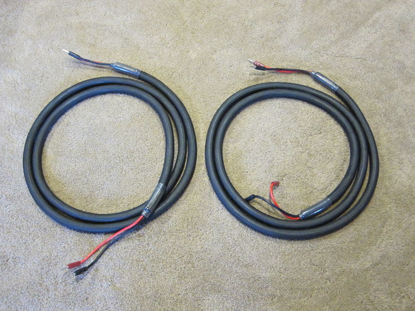 Harmonic Technology PRO-11+     12' pair with AQ bananas Speaker Cables