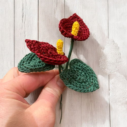 Haakpatroon flamingoplant (anthurium)