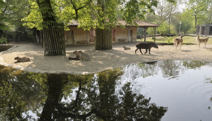 zoo krefeld südamerika anlage