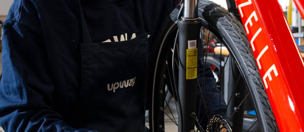 A Gazelle Medeo Downtube