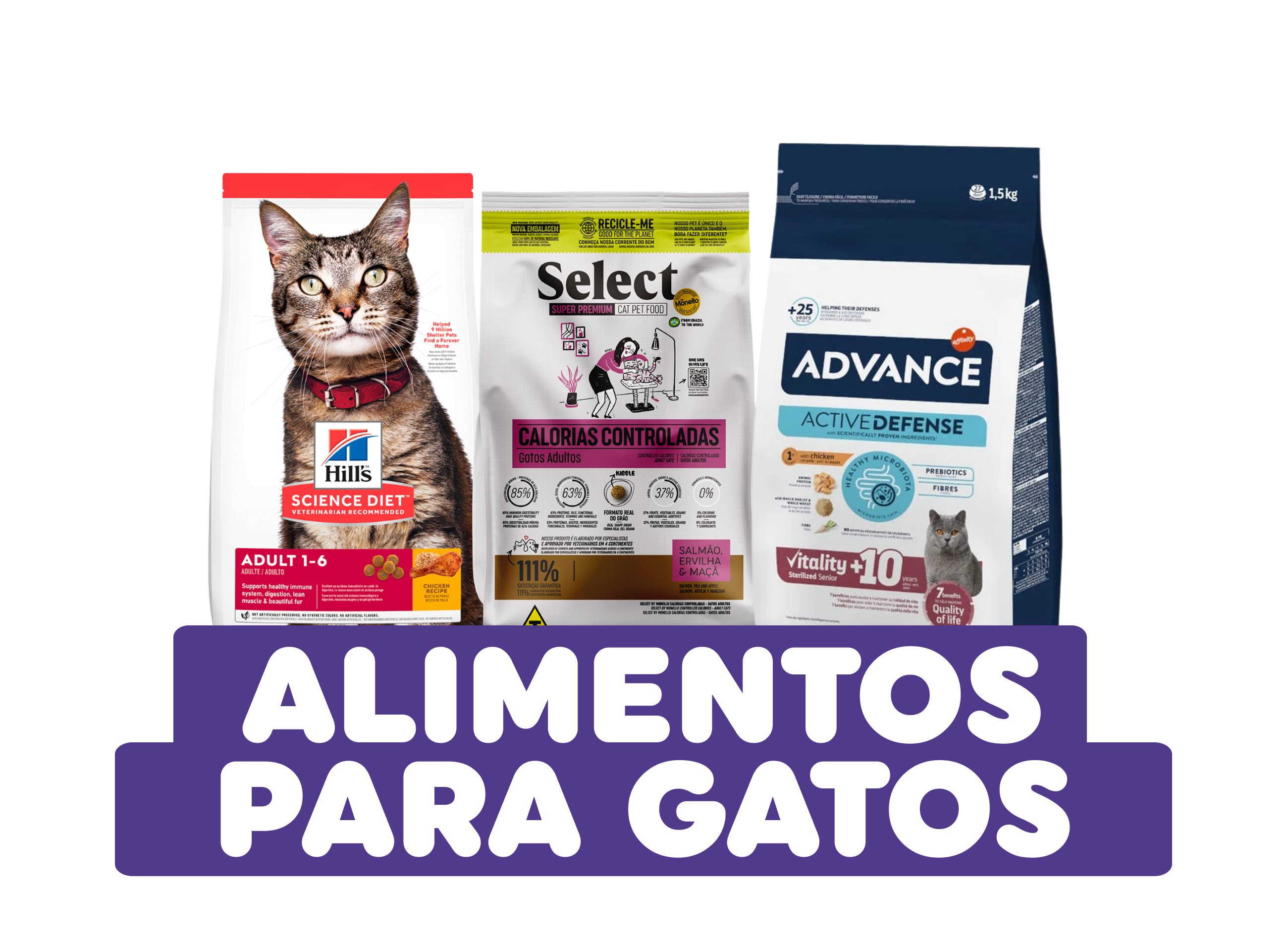 alimentos para mascotas
