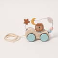 Montessori Roaring Roller.