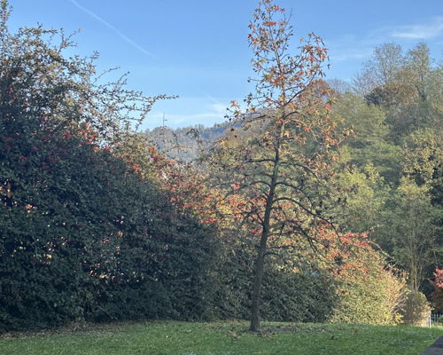 Food & Wine Tours Castiglione Torinese: Merenda Sinoira: light bite and dinner from Piedmont