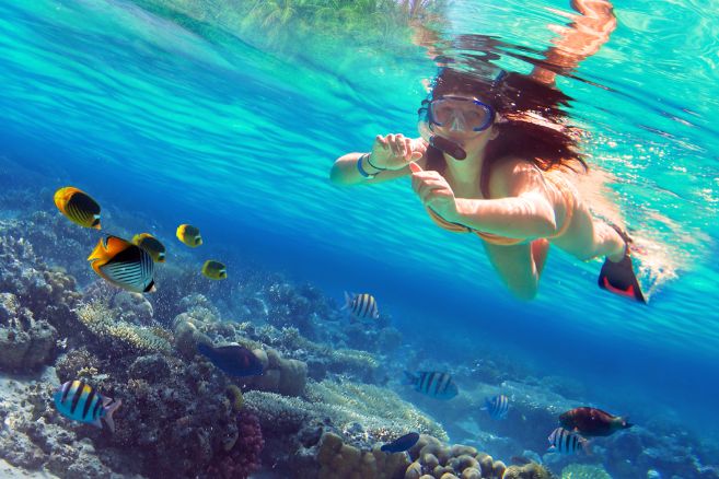 Beautiful women snorkeling in the tropical sea