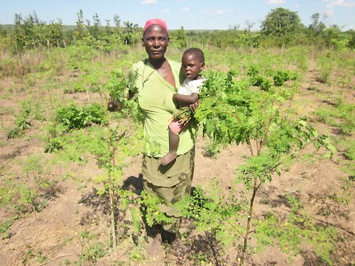 Projekt Kariba REDD+