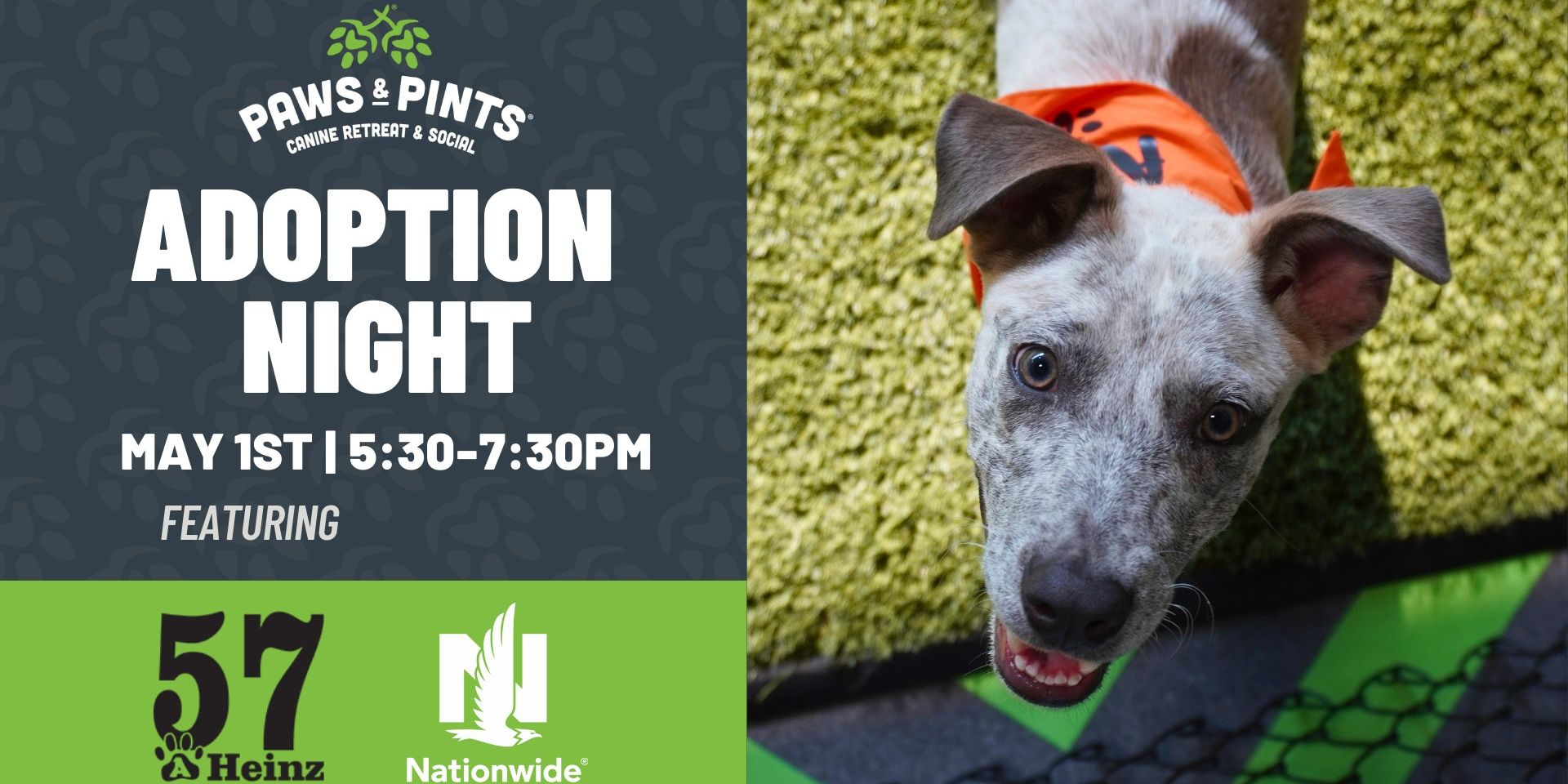 P&P Adoption Night promotional image