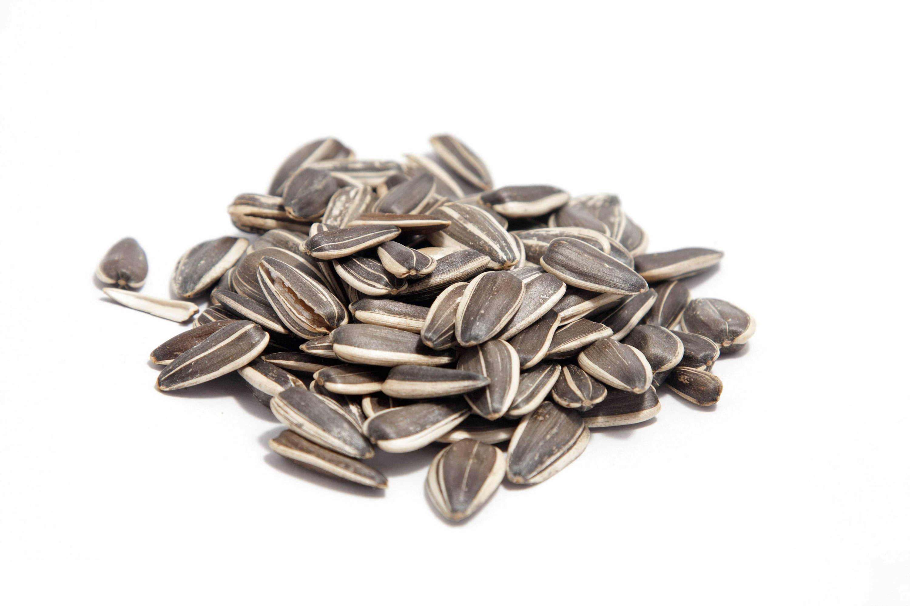 Семечки Sunflower Seeds