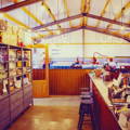 Boutique de la distillerie Deerness dans l'archipel des Orcades d'Ecosse