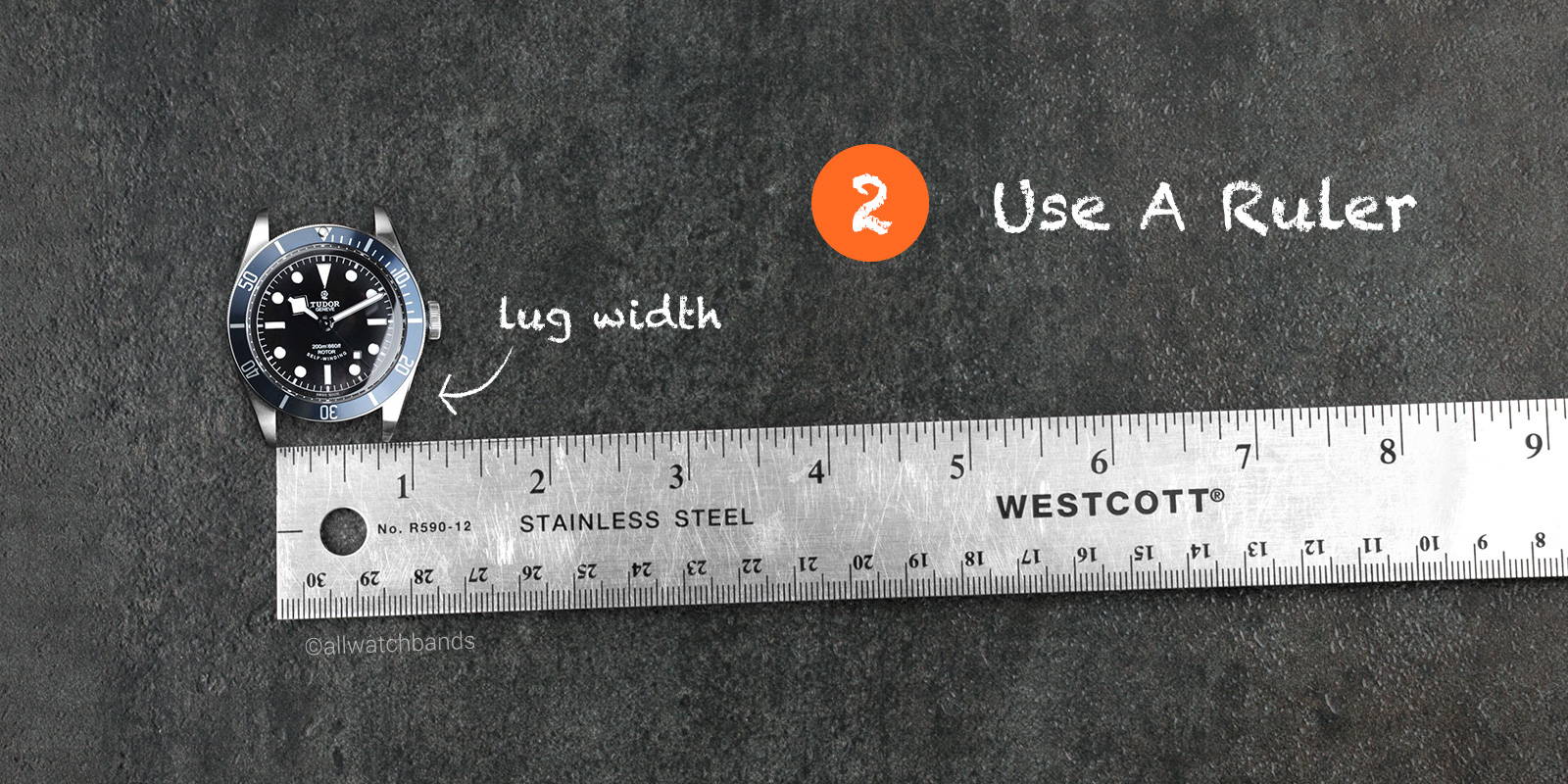 Watch Band Length Guide Store Www repc