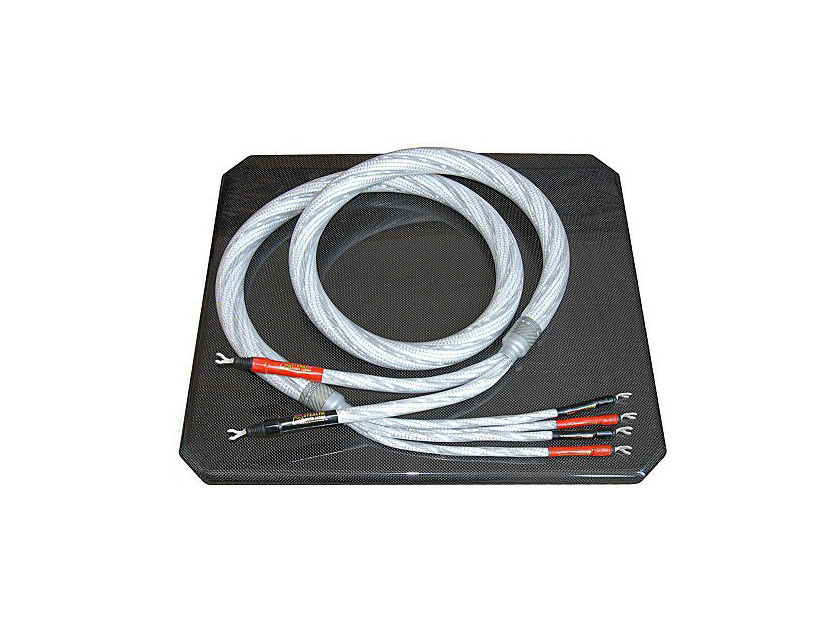Dream V10 loudspeaker cables soundstage is deep and absolutely 3-D Retail price $14550.00