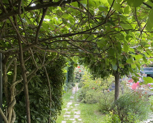 Food experiences Davagna: Ligurian flavor in 4 courses