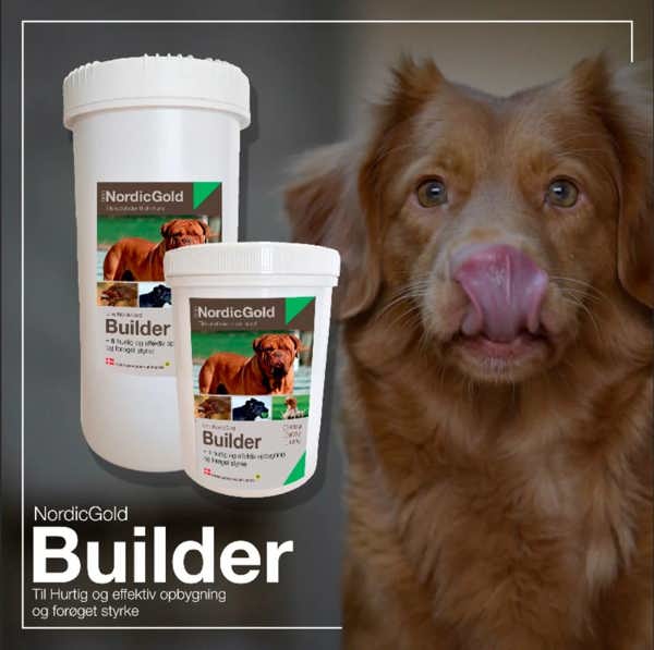 UNIQ Builder 0.8kg - Tilskudd for økt styrke